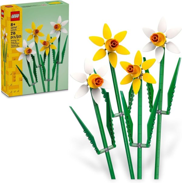 NARCISOS - Image 2