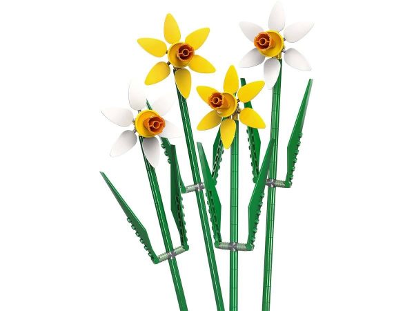 NARCISOS - Image 3