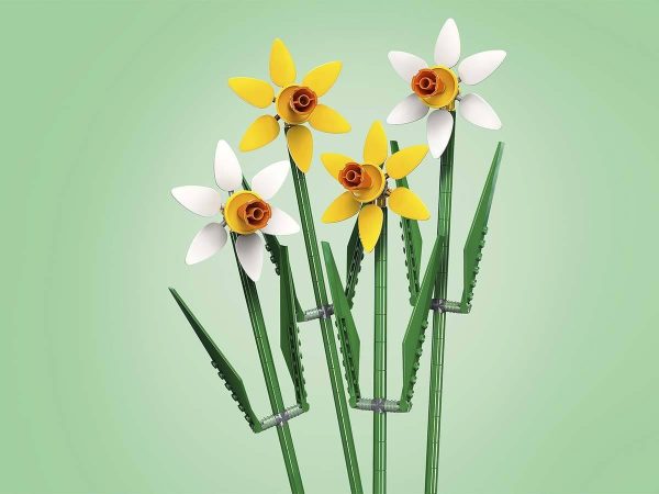 NARCISOS - Image 4