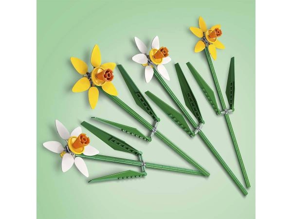 NARCISOS - Image 5