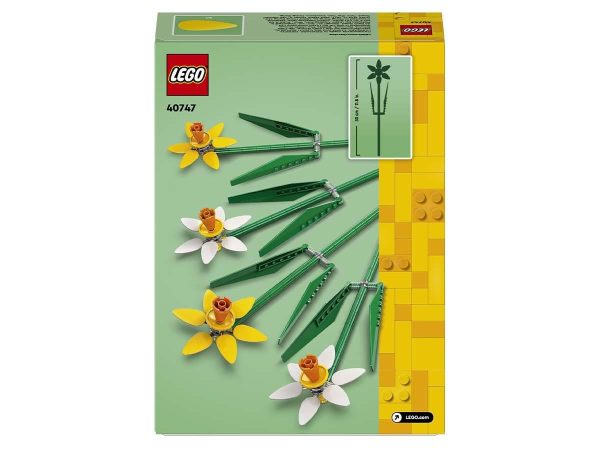 NARCISOS - Image 6