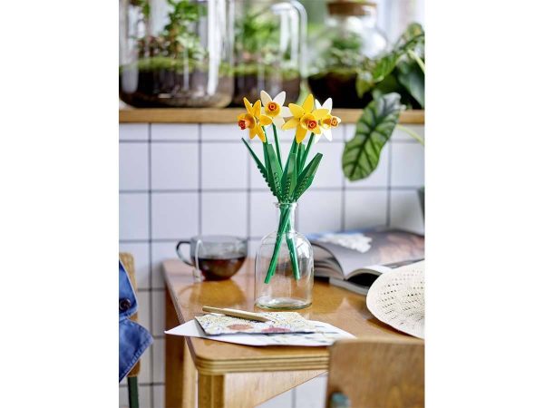 NARCISOS - Image 7