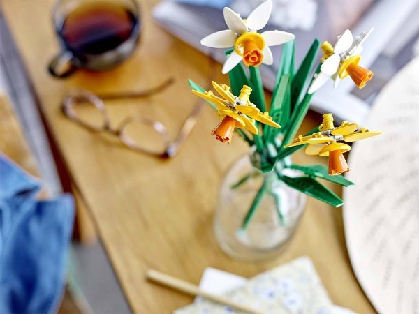 NARCISOS - Image 8