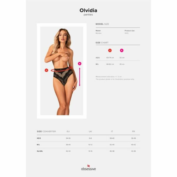 OBSESSIVE - OLVIDIA PANTIES - Image 7