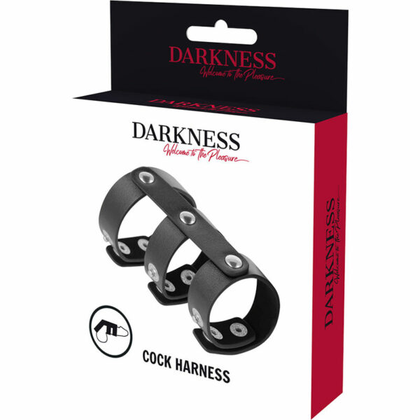 DARKNESS - ANEL DUPLO DE PÊNIS E TESTÍCULOS DE COURO AJUSTÁVEL - Image 5