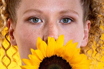 Close-Up with Sunflower and Bright Background Commercial Stock Photo