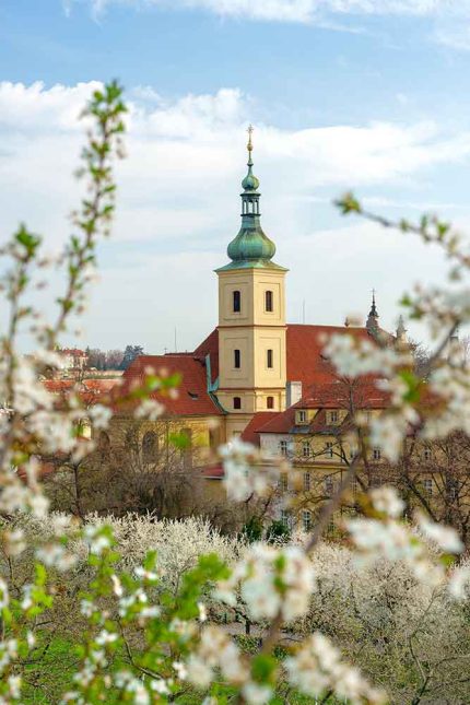 Prague during spring in Petrin Tower Fine Art Print Commercial Stock Photo