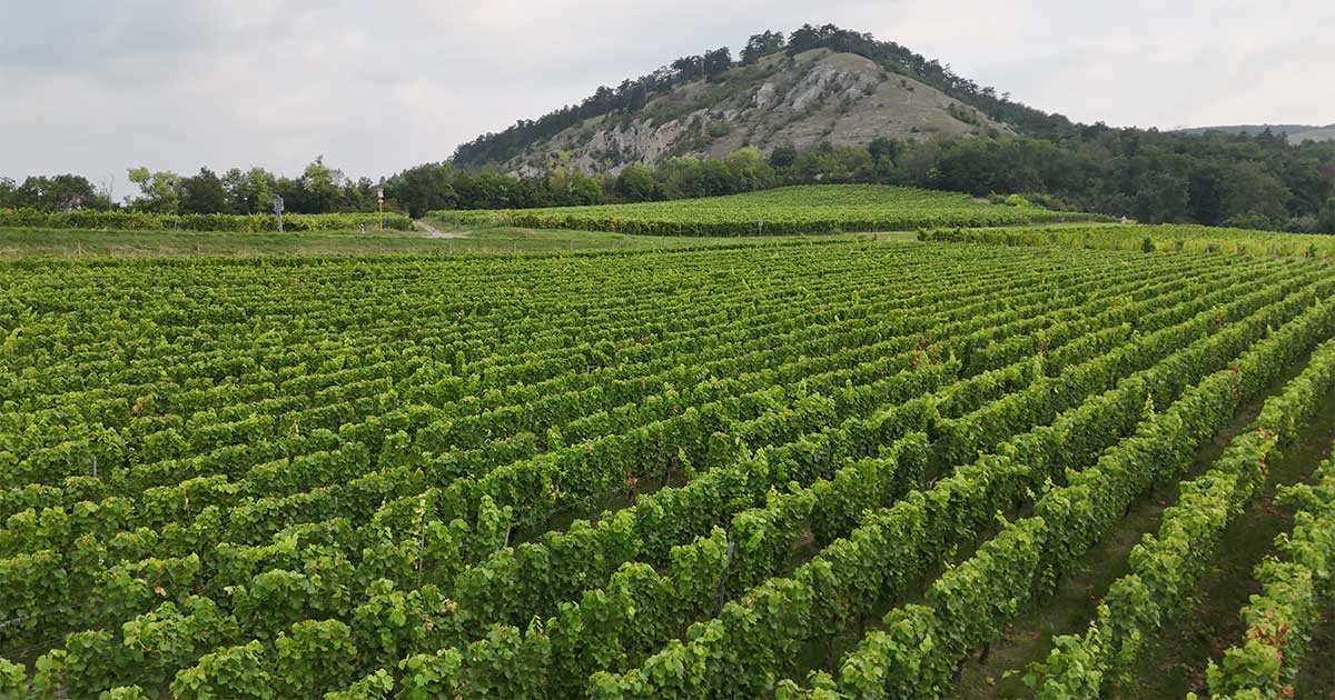 Escape the crowds! Discover Czechia's hidden gems outside Prague, from fairytale towns like Český Krumlov to Moravian wine cellars. Get the ultimate off-the-beaten-path itinerary.