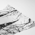 Prague's Winter Spires: The Vyšehrad Cathedral in Black and White Fine Art Poster - Image 6