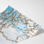 Prague during spring in Petrin Tower  Fine Art Poster - Image 3