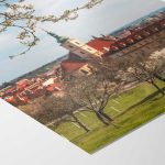 Prague during spring in Petrin Tower  Fine Art Poster - Image 4