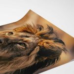 Stunning Lion Headshot: Wildlife Beauty Fine Art Poster - Image 4