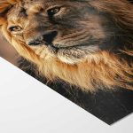 Stunning Lion Headshot: Wildlife Beauty Fine Art Poster - Image 6