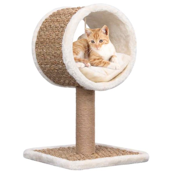 Árvore p/ gatos c/ túnel superior e brinquedo 49cm erva marinha