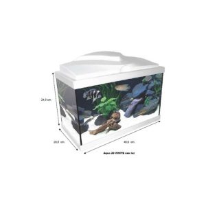 ACUARIO ZENEO 30 ECLAT
