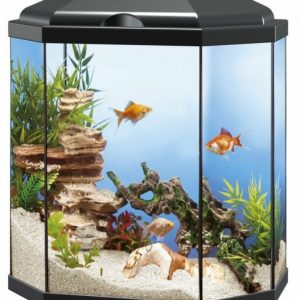 ACUARIO ZENEO 30 OBSESION