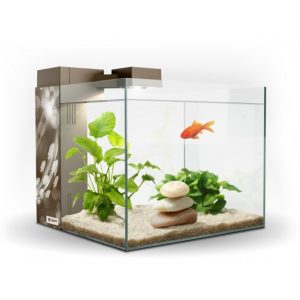 ACUARIO ZENEO 30 JUNGLE