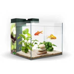 ACUARIO CUBE AQUA 10 LTS. CON FILTRO CF20