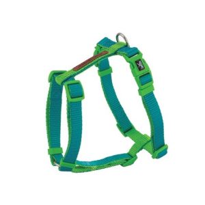 PLANTA AQUA GREEN 9cm. 6 piezas