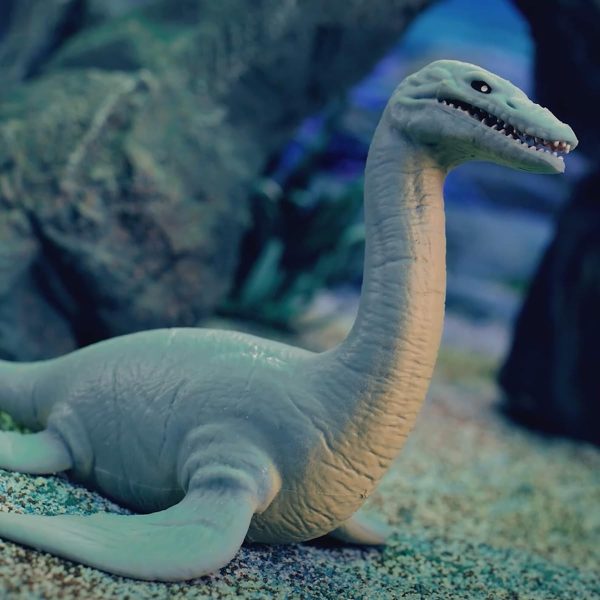 DISPLAY 12 LEGEND OF ANIMALS SEA PREHISTORIC PREDATOR - Image 9