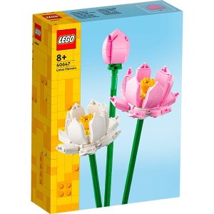 FLORES DE LOTO