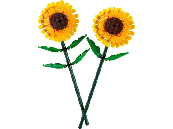 GIRASOLES - Image 3