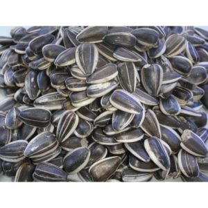 PIPAS IREGUI VINCI 15 KG.