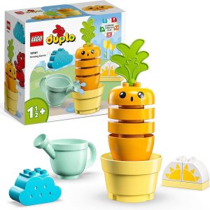 PLANTA DE ZANAHORIA