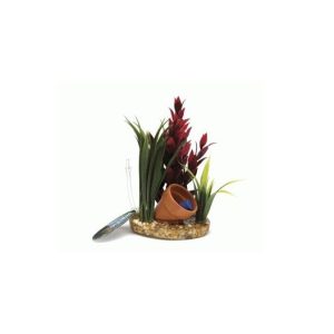 PLANTA ANACHARIS PLUS (28-33CM)