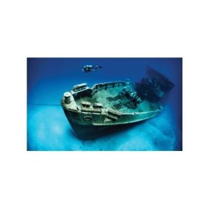 POSTER 3D AQUA JARDIN (61X41CM.)