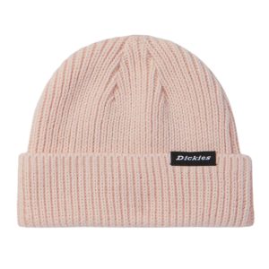 Dickies Chapéu Homem - 329414
