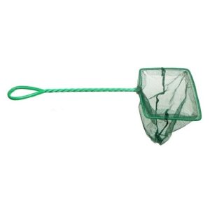 SALABRE VERDE 20 x 15 cm.
