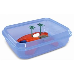 TORTUGUERA OVAL CON PALMERA