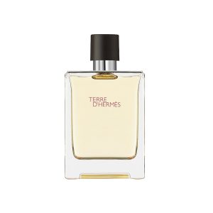 Terre D'hermes Eau De Toilette Spray 100ml