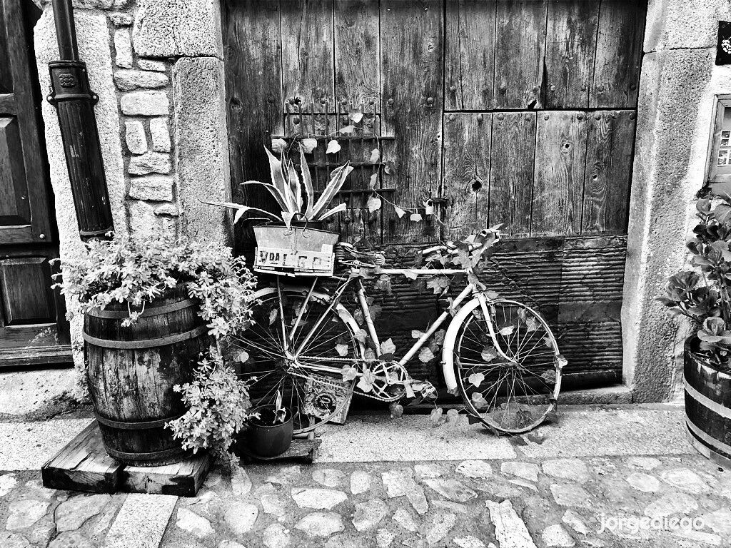 Una bicicleta antigua, oxidada y parcialmente cubierta de hiedra, se apoya contra una puerta de madera oscura y envejecida en una pared de piedra.  A los lados de la bicicleta hay varias macetas con plantas, incluyendo un barril de madera que sirve como maceta. La escena está en blanco y negro, creando un ambiente rústico y nostálgico. La piedra de la pared y el suelo empedrado contribuyen a la atmósfera antigua del lugar.