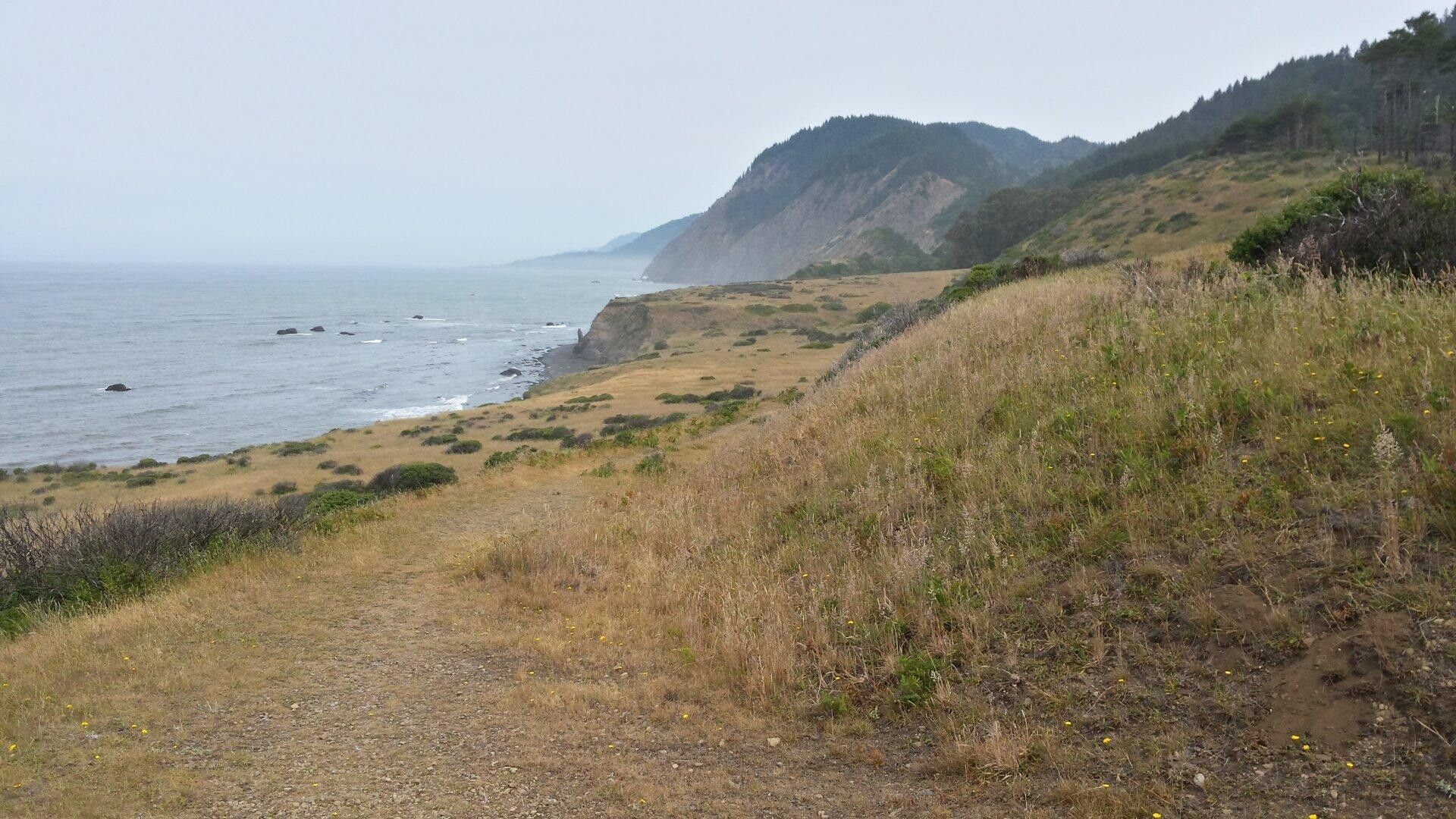 la costa del norte de California