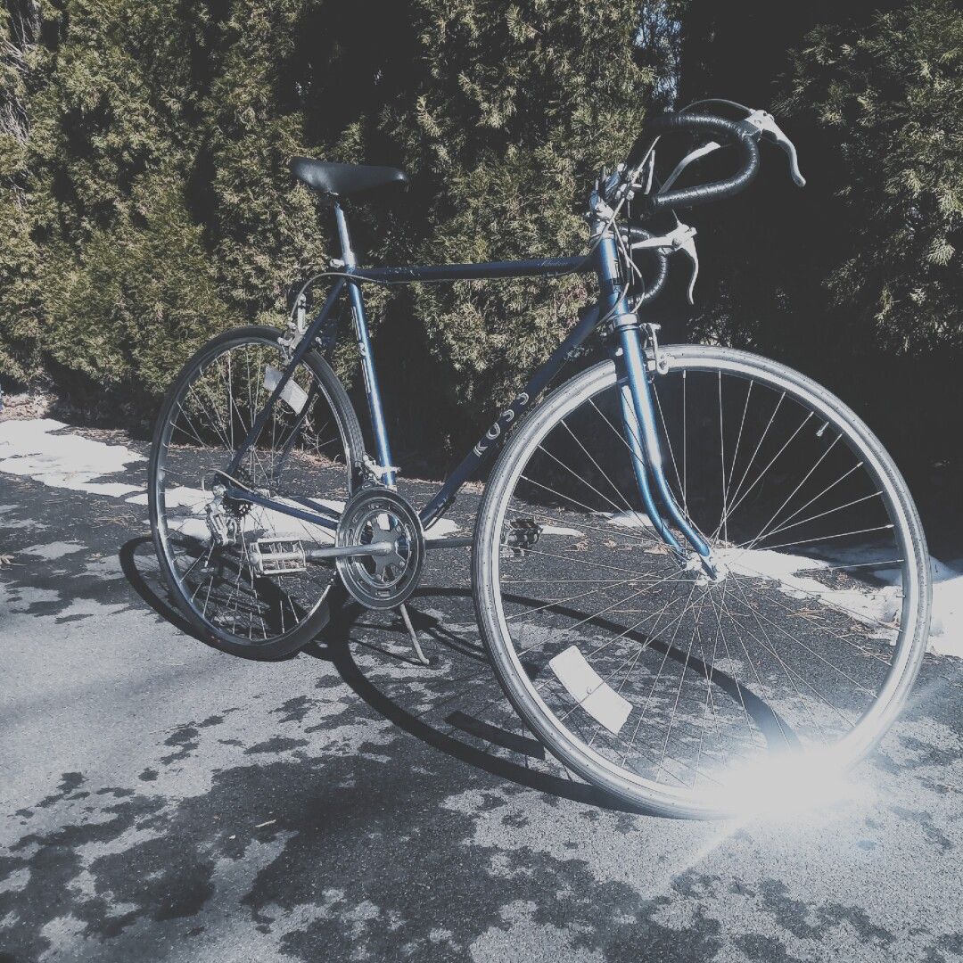 una bicicleta azul en la calle cerca de unos arbustos.