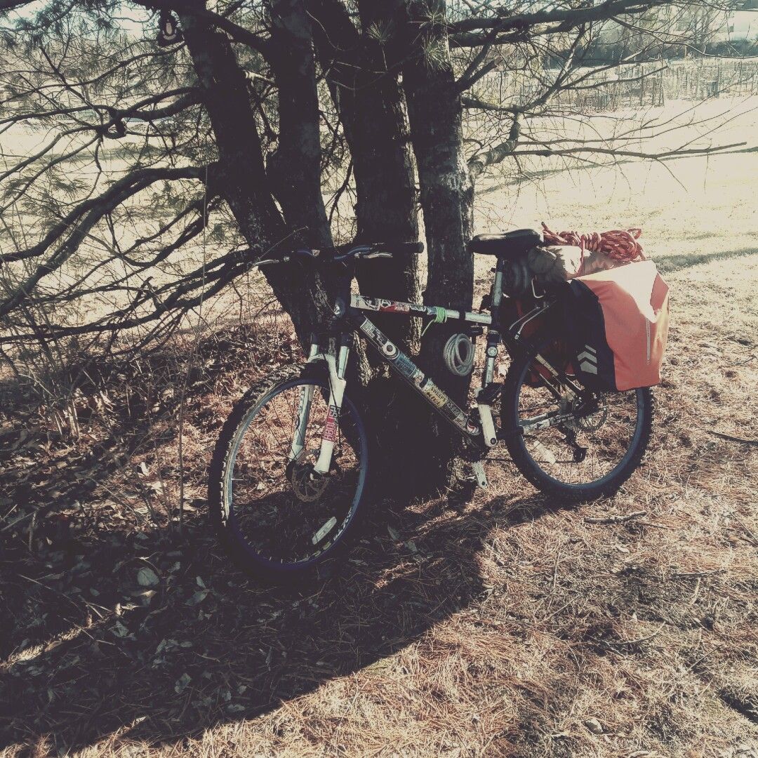 una bicicleta apoyado en un árbol