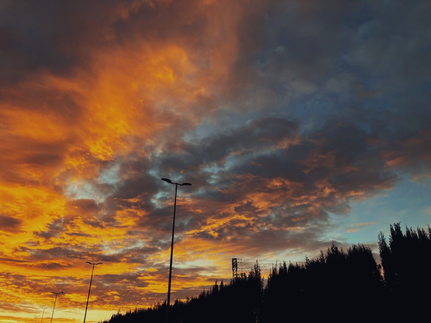 El cel amaneix entre una filera d’arbres amb colors taronges i blaus.