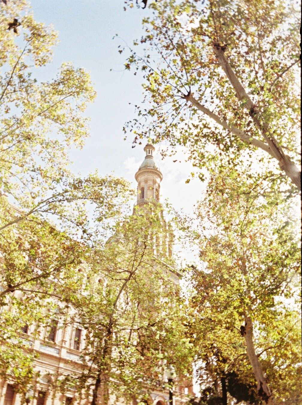 Fotografía analógica donde de fondo y en el centro se ve la Torre Norte de Plaza España, rodeada de árboles con hojas amarillentas.