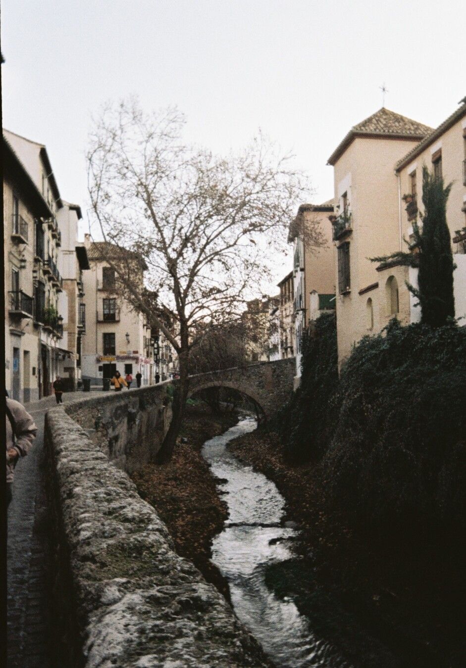 Fotografía analógica de la calle Carrera del Darro en Granada. En el centro se ve el río Darro bajar, pasando por un puente, y a la izquierda, a la altura del río hay un árbol con pocas hojas.