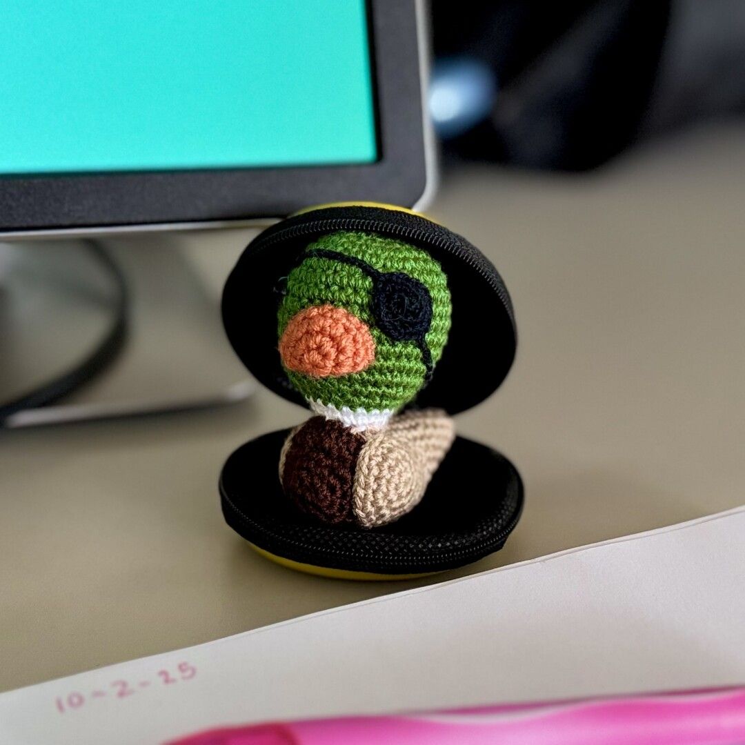 Amigurumi de pato de tres colores, con su parche en el ojo izquierdo!