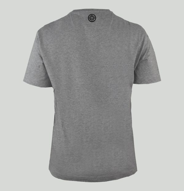 Plein Sport Camiseta TIPS40894_GREY - Image 2