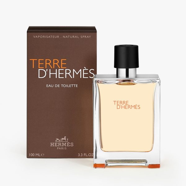 HERMÈS TERRE D'HERMÈS edt 100 ml