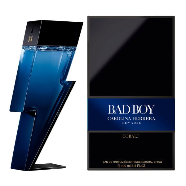 BAD BOY COBALT edp vapo 100 ml