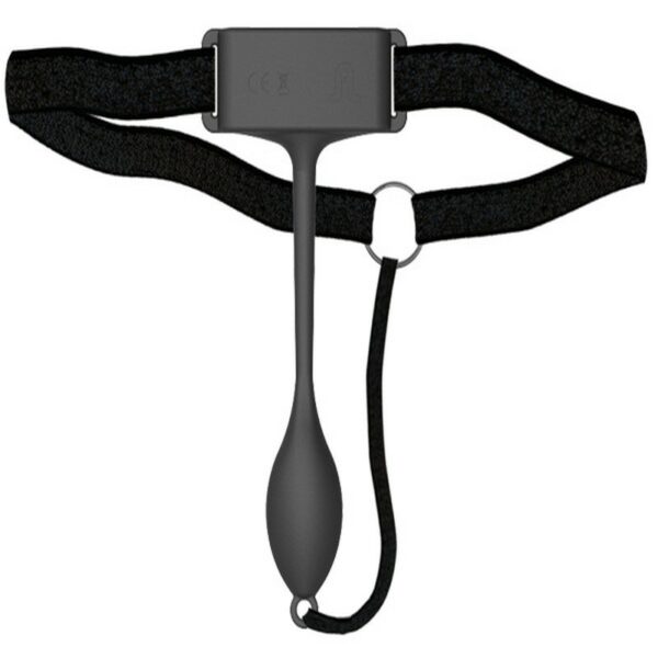 VIBRADOR PAN-T VIBE COM COMANDO ADRIEN LASTIC