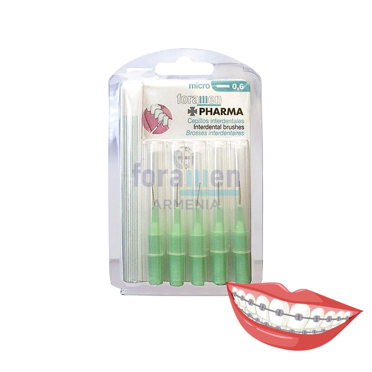 Йоржик прямий Foramen (різні розміри)