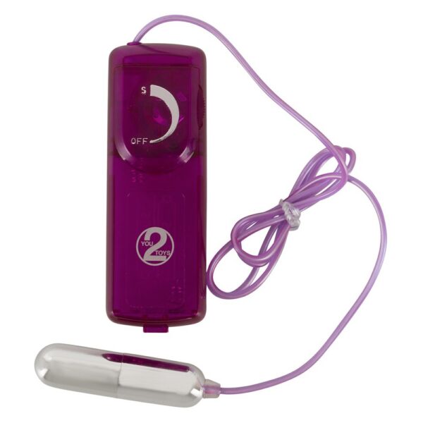 KIT SEX TOY SET SURPRISE SURPRISE YOU2TOYS - Image 6