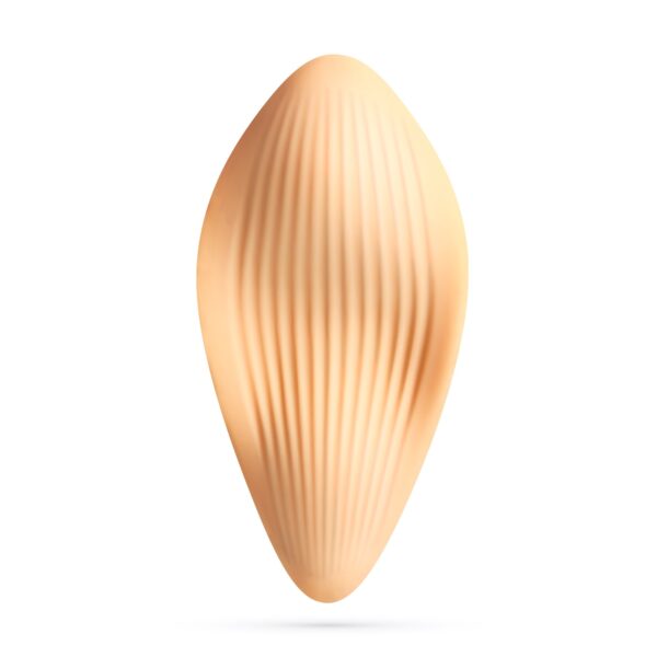ATLANTIS VIBRADOR DE CUECA COM COMANDO À DISTÂNCIA CRUSHIOUS - Image 2