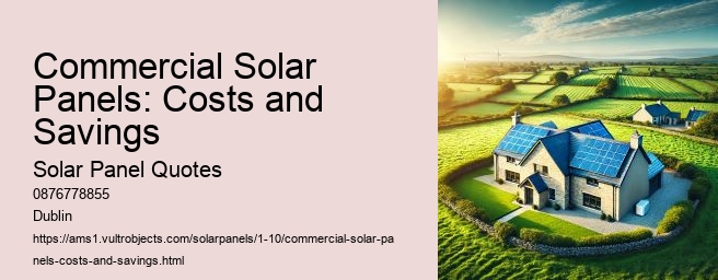 Government Grants and Incentives for Solar Panels in Ireland